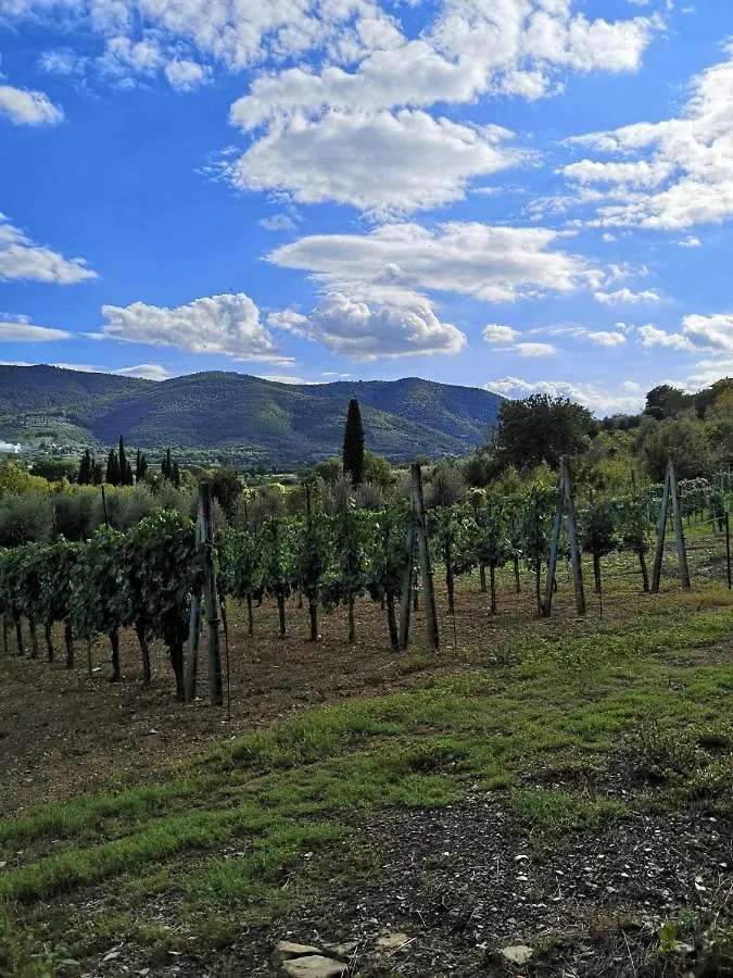 Alba Morus Bed E Breakfast Sentiti A Casa Nel Cuore Della Toscana Acomodação com café da manhã Arezzo