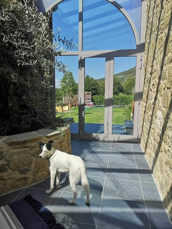 Alba Morus Bed E Breakfast Sentiti A Casa Nel Cuore Della Toscana Acomodação com café da manhã Arezzo