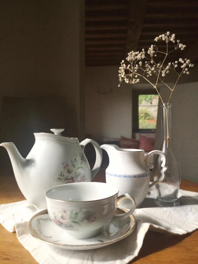 Alba Morus Bed & Breakfast Sentiti A Casa Nel Cuo Arezzo