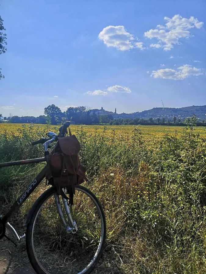 Alba Morus Bed & Breakfast Sentiti A Casa Nel Cuo Arezzo Italy