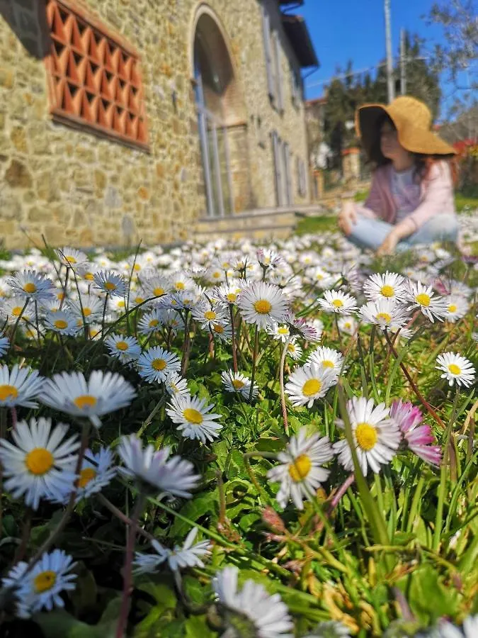 Alba Morus Bed & Breakfast Sentiti A Casa Nel Cuo Arezzo